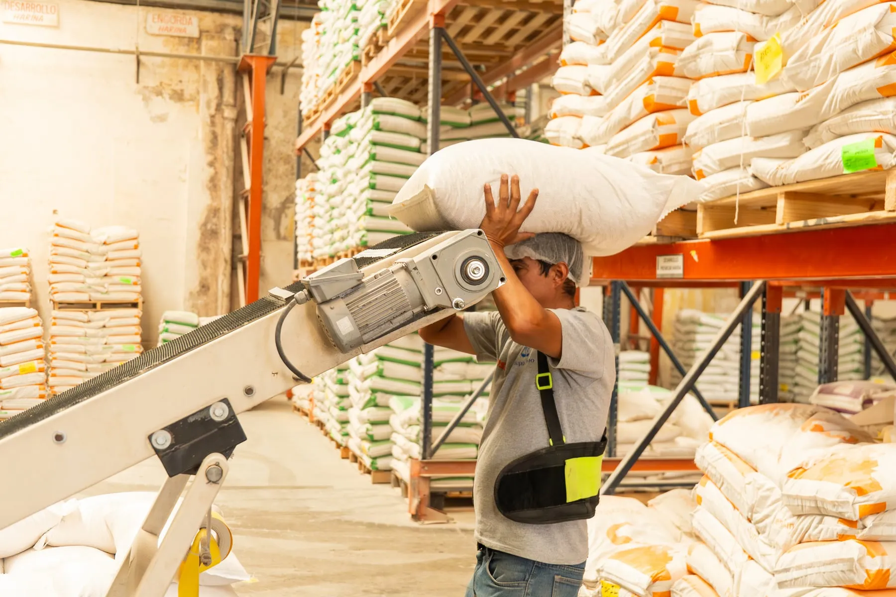 Loading bags on the conveyor